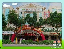 广东梅州爆料事件最新,真相与争议交织的舆情漩涡